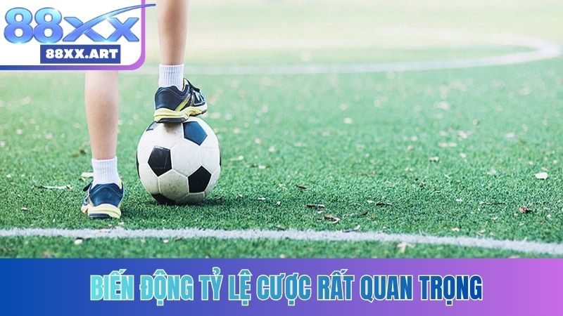 Biến động tỷ lệ cược rất quan trọng